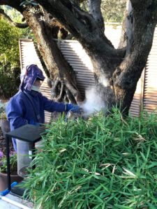 WhatsApp Image 2019-10-04 at 12.58.04(2)