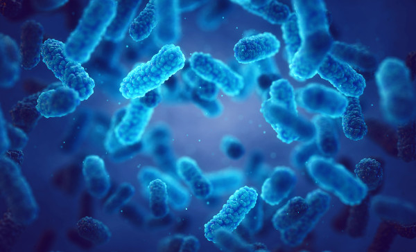 Société Desinfection Toulon