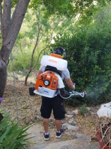 Traitement anti moustiques