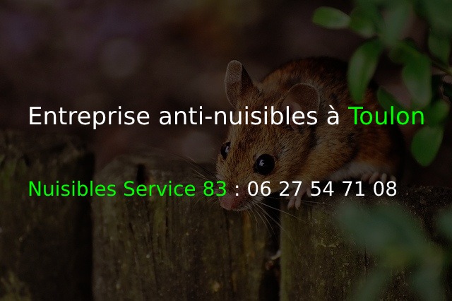 NS 83 Entreprise anti-nuisibles à Toulon